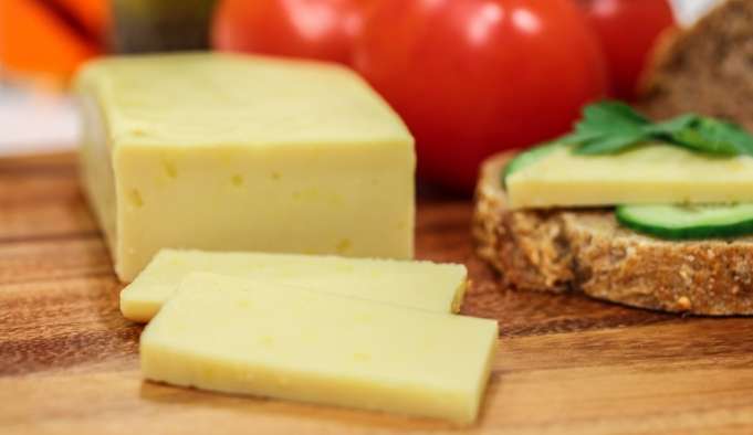 “Queijo sem vaca” é aposta de Startup para mercados dos EUA em 2023