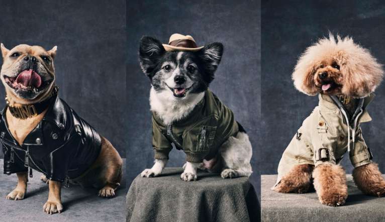 Grifes de moda apostam no universo pet friendly