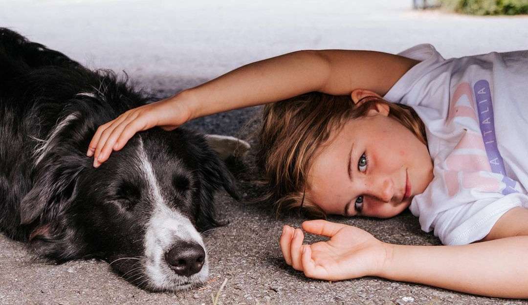 Especialistas apontam que os pets correspondem a demonstrações de afeto