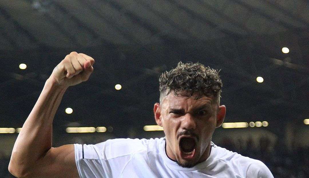 Botafogo vence fora de casa e briga por vaga na Libertadores