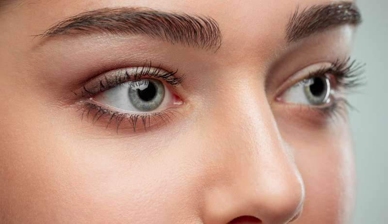 Foxy eyes: a moda do olhar sensual