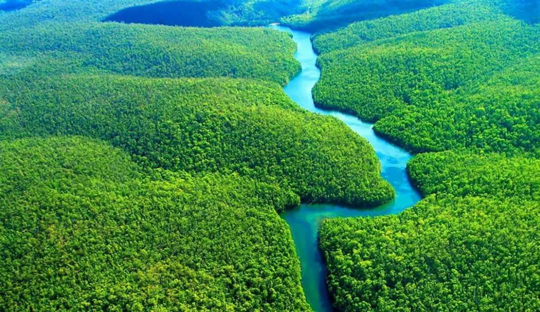 Vale e BNDES anunciam investimento de R$108 mi em iniciativas socioambientais