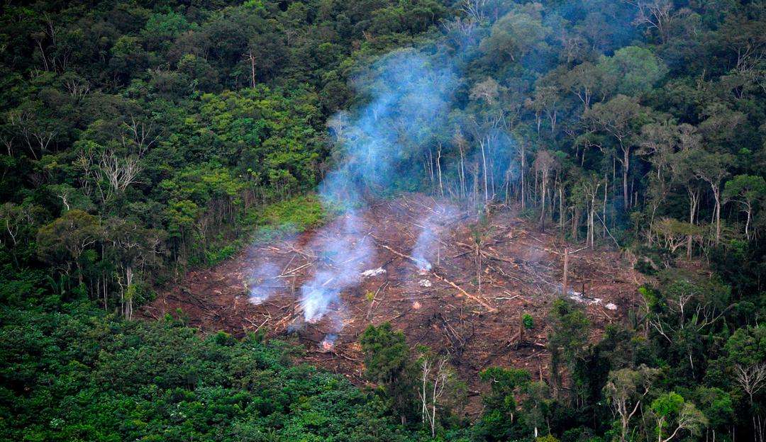 Cinco medidas que Lula deveria adotar para frear o crescimento do desmatamento em 2023