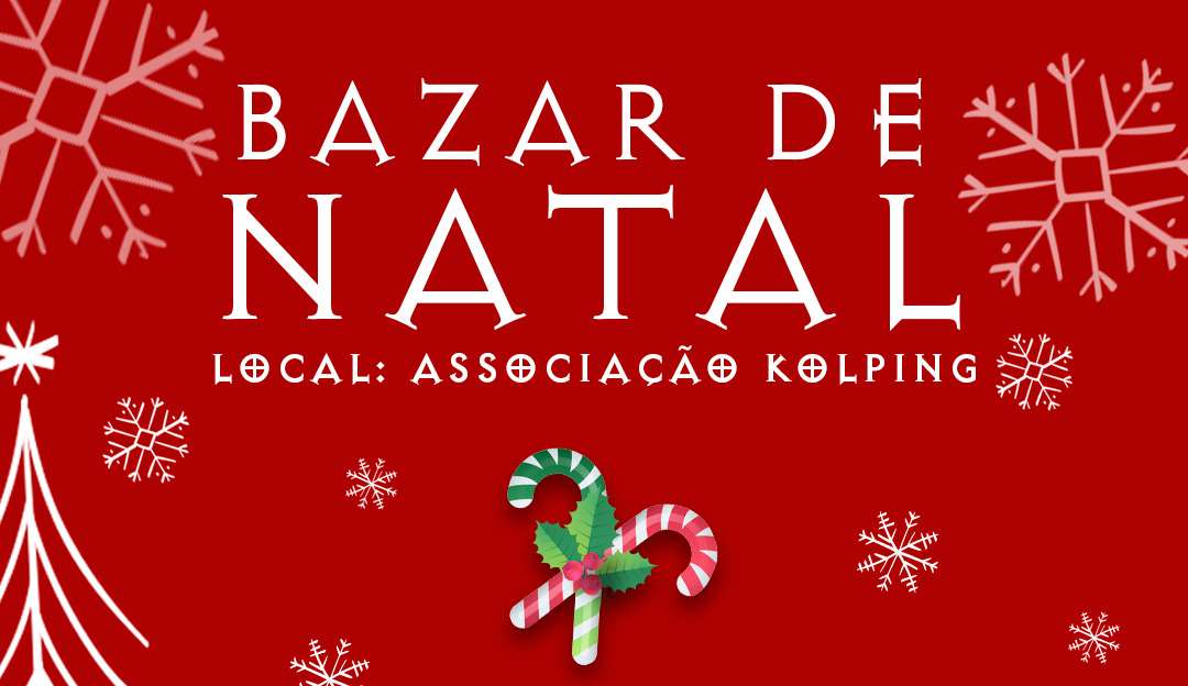 ONG MundoGato realiza Bazar de Natal em São Paulo
