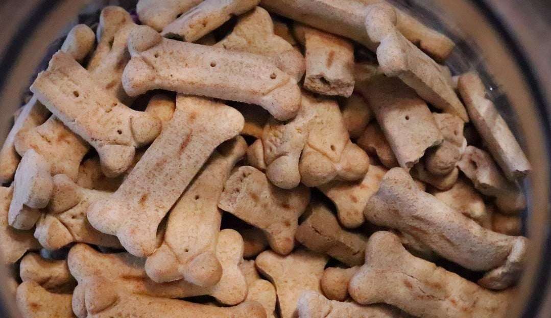 Investigações apontaram a causa da contaminação de petiscos para pets