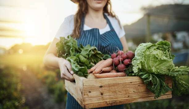 Alimentação e atividades físicas são fatores que contribuem para o aumento da qualidade de vida