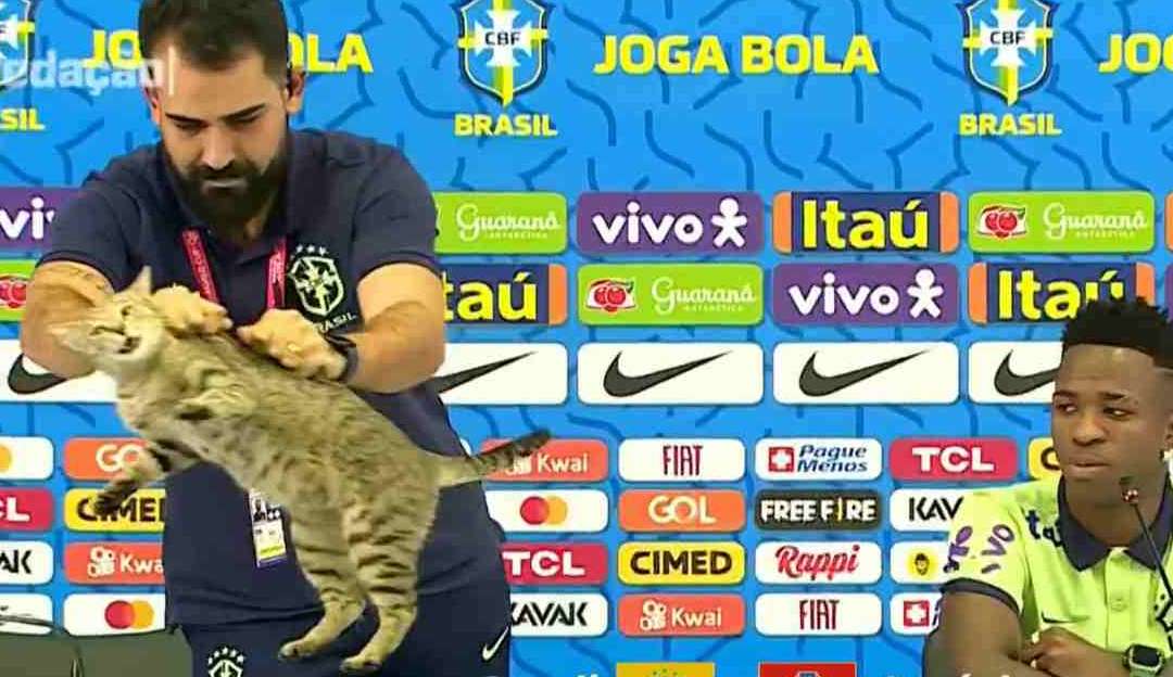 ONGs pedem multa de R$1 milhão à CBF por maus-tratos a gato no Catar