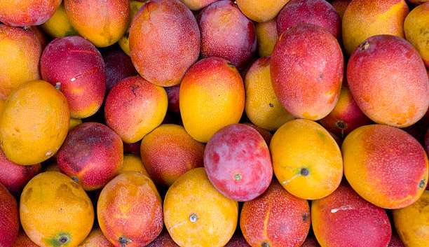 Saiba os benefícios da manga a fruta que está em todos os lugares