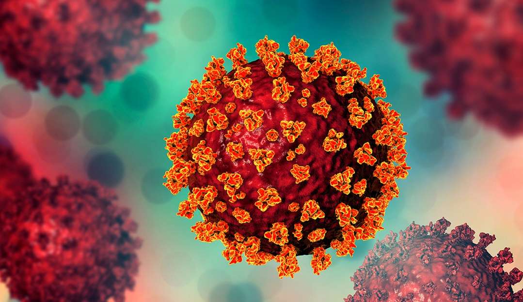 o que se sabe sobre a nova subvariante da Ômicron XBB.1.5 que cresce nos EUA