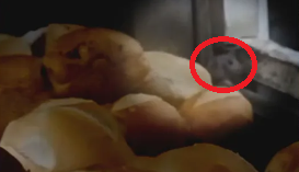 Cliente filma rato comento pão em estufa de supermercado