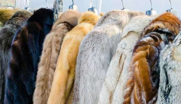 É oficial! As peles estão proibidas na Califórnia