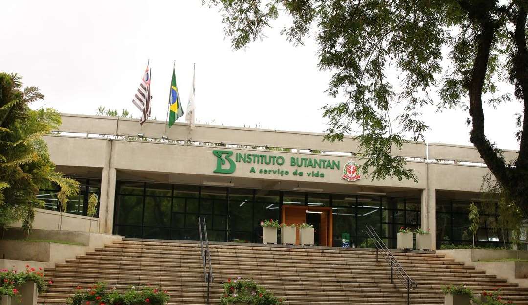 Anvisa analisa aprovação de vacina contra a dengue com alta eficácia