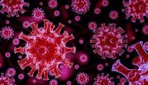 Rio registra 1.189 casos e 31 óbitos nas úlimas 24 horas causados por covid-19