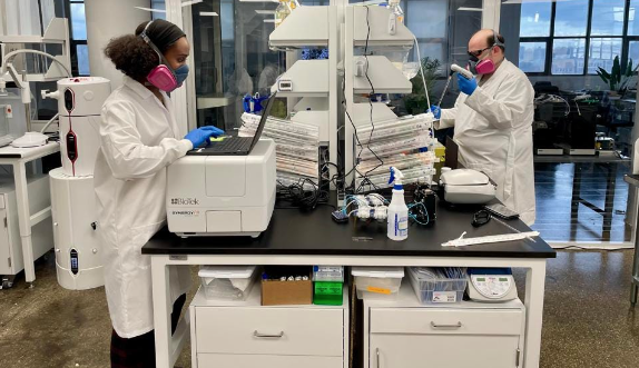 Startup do Brooklyn recebe investimento de R$36 milhões para criar micróbios resistentes