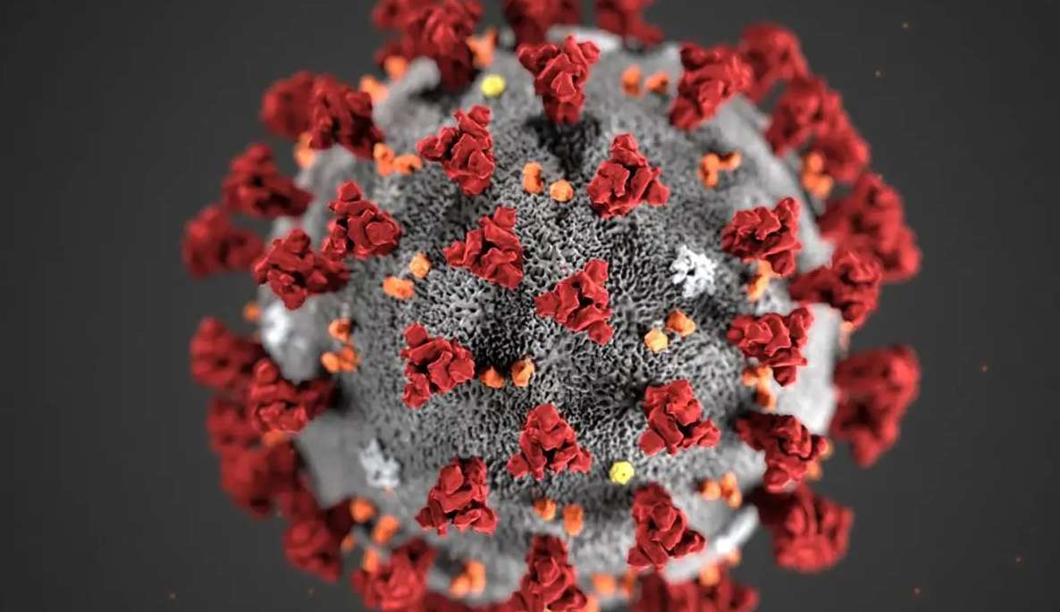 Brasil chega a mais de 36 milhões de casos confirmados e 697.345 mortes pelo COVID-19