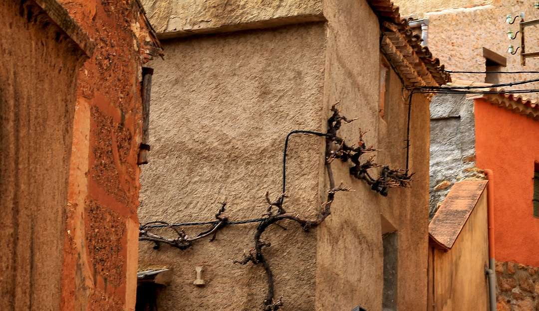 Quase 40% dos brasileiros pretendem realizar o sonho da casa própria em 2023