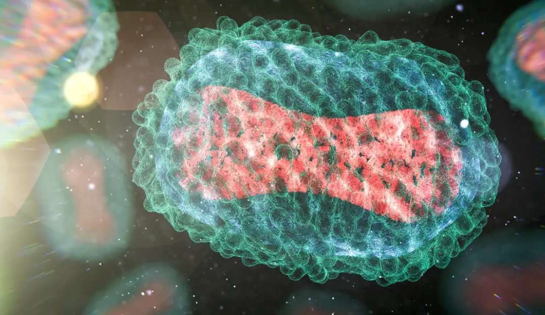 Monkeypox pode ser fatal para quem tem AIDS em estado avançado