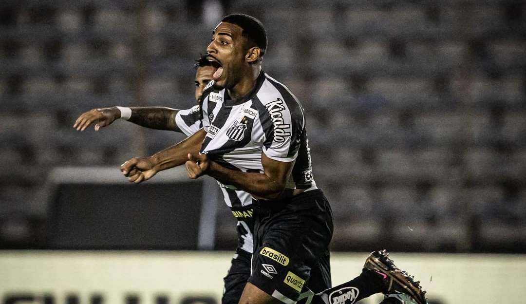 Preocupado, Santos emite nota sobre escolha de Edina Lopes na arbitragem