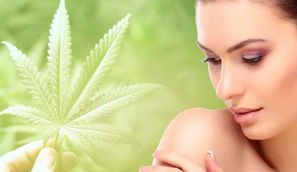 O que você deve saber sobre o ‘canabidiol’ e sua ligação com o mundo Beauté