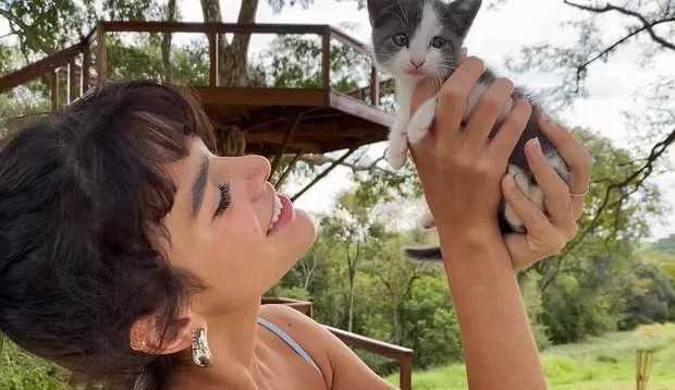 Bruna Marquezine e Enzo Celulari adotam gata: ‘Coisa mais linda’, diz o empresário