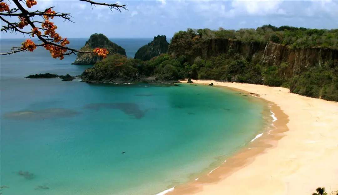 Fernando de Noronha quase não tem ataques de tubarões e especialistas explicam