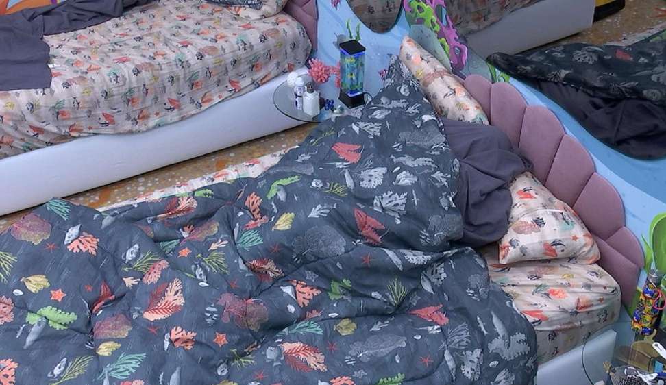 BBB 23: Sarah Aline e Ricardo discutem e acabam indo para baixo do edredom