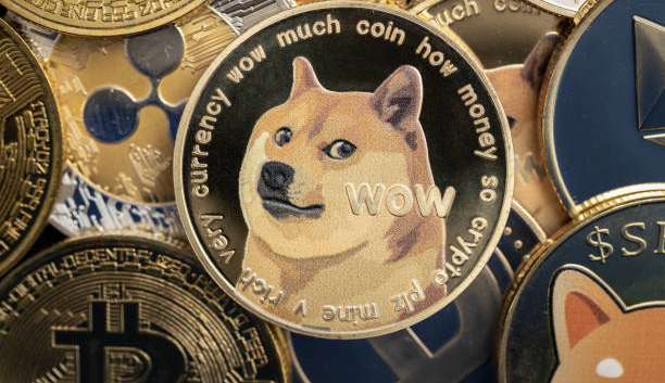 Elon Musk surpreende usuários do Twitter ao mudar logo para Dogecoin