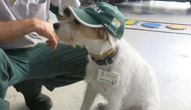 Depois de 12 anos trabalhando, cachorro “frentista” se aposenta em São Paulo