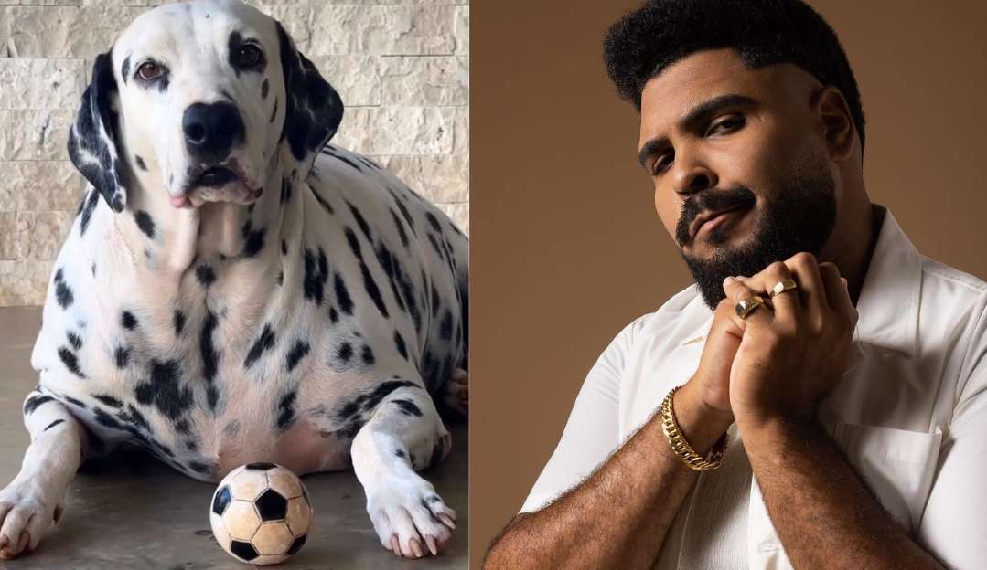 Paulo Vieira rebate críticas por pet estar acima do peso