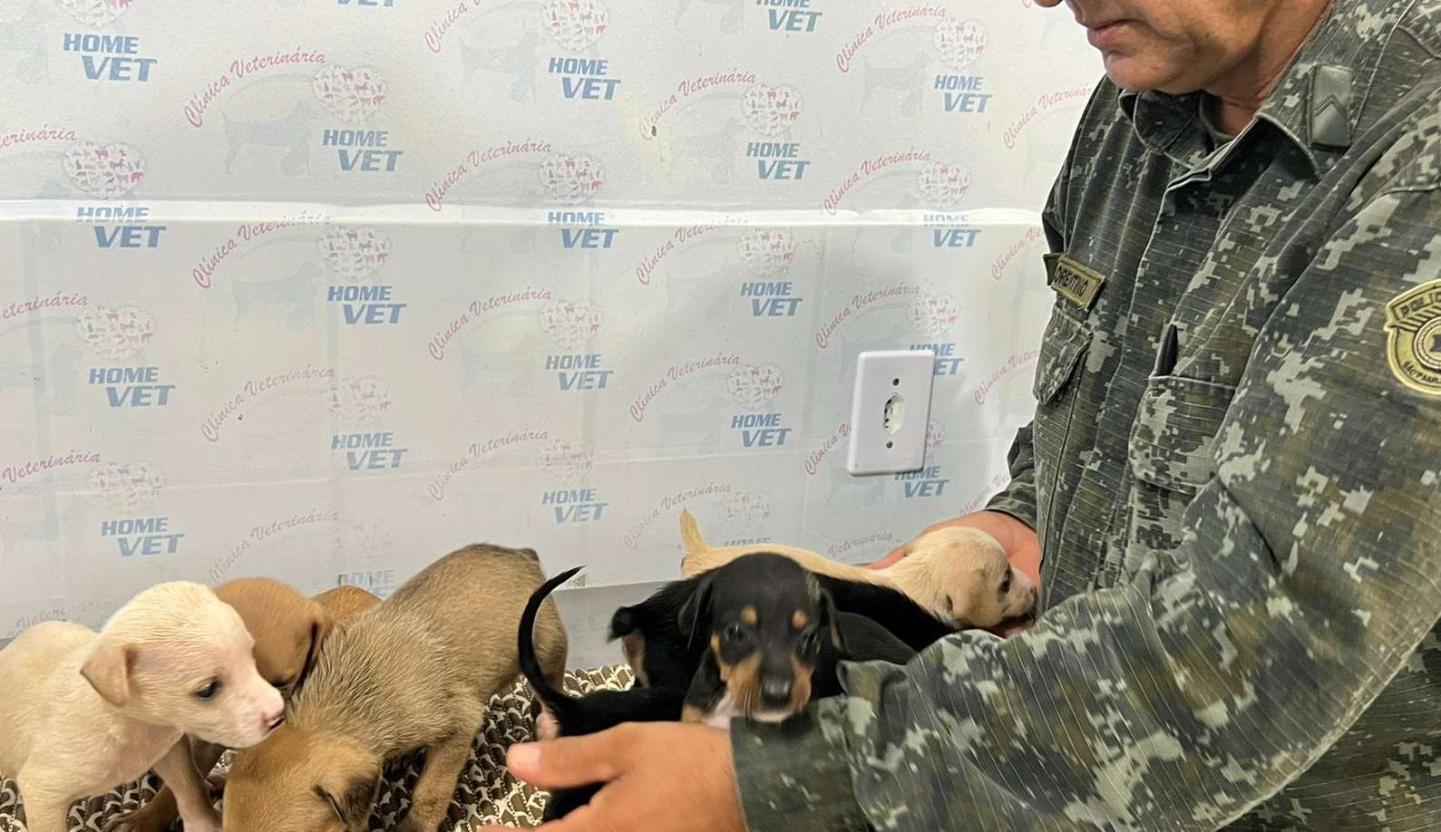 Idoso é autuado em 21 mil reais por maus-tratos de animais domésticos