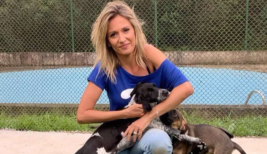 Luisa Mell denúncia golpe após mudança de nome em instituto: ‘Não sou bilionária”