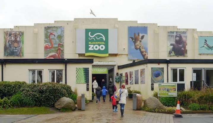 Curiosa vaga de emprego em zoológico inglês chama a atenção