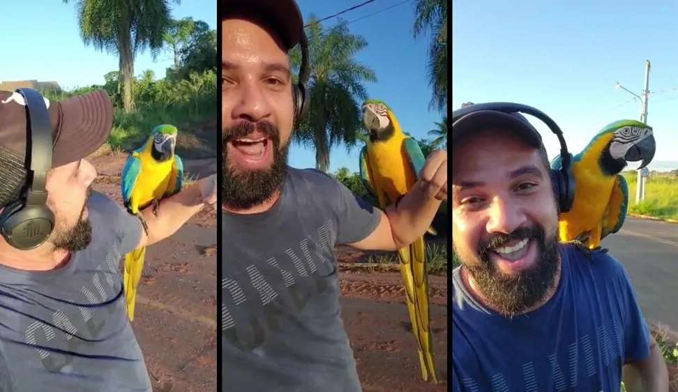 Corrida matinal, Arara pousa no Braço do policial em Jadim Minas Gerais