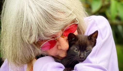 Rita Lee comentou sobre causas ativistas em uma de suas últimas entrevistas