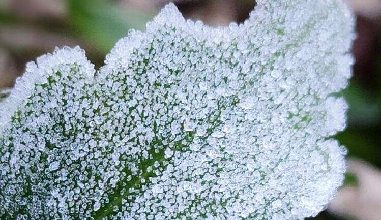 Temperaturas mínimas do Sudeste, Centro-Oeste e Paraná podem baixar ainda mais