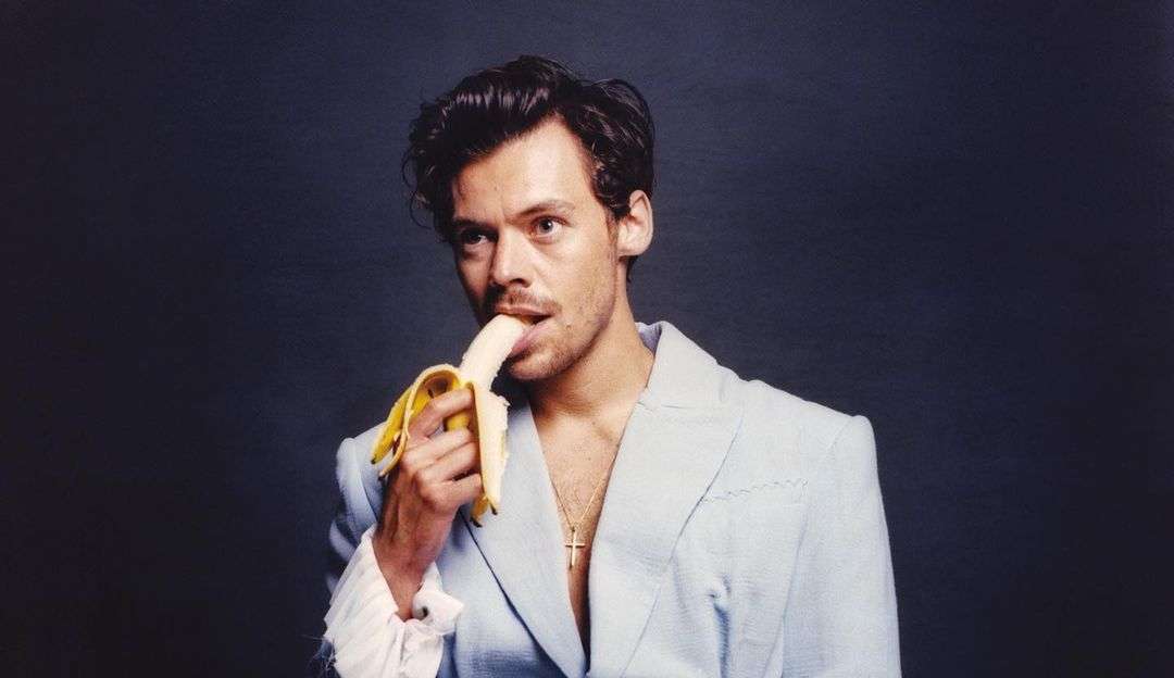 Harry Styles está namorando sétima angel da Victoria”s Secret após término com Olivia Wilde, revela jornal