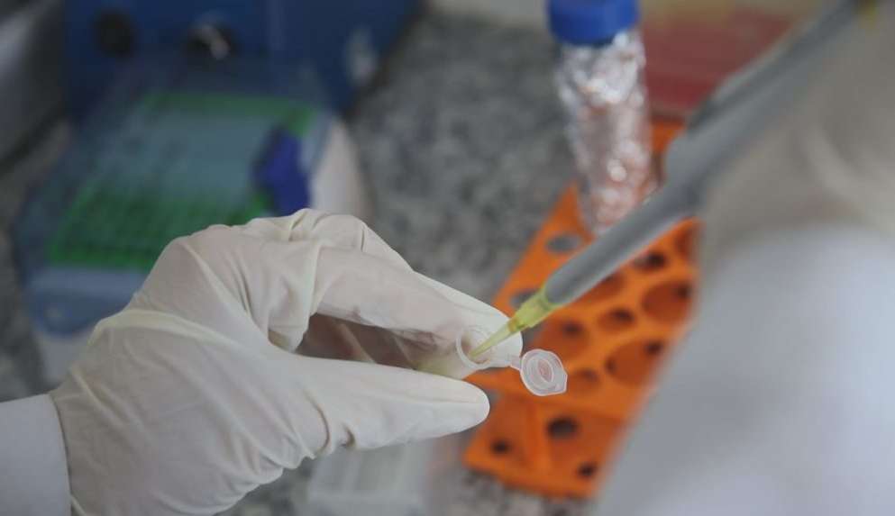 Vacina contra dependência de drogas está em desenvolvimento e se mostra eficaz