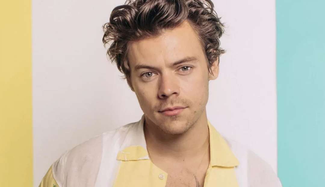 Harry Styles diverte funcionários de hotel com pseudônimo surpresa