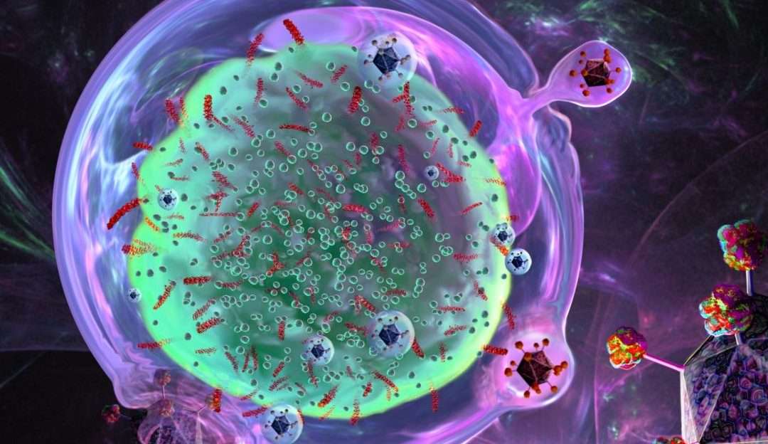 Estudo inédito concede remissão completa a paciente com câncer