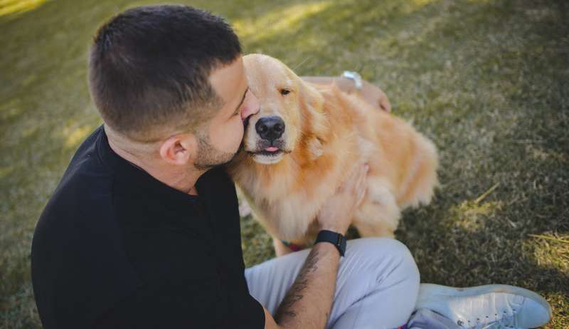 Saiba como treinar seu pet surdo