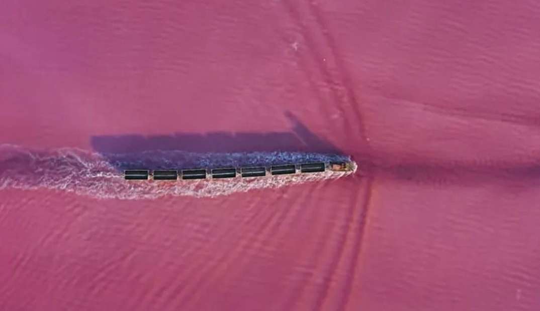 Na Sibéria, trem que anda pela água de lago cor-de-rosa atrai turistas