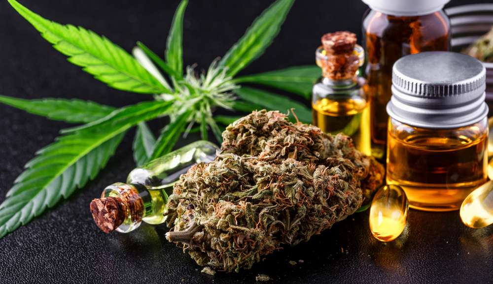 Governo de São Paulo define quais doenças serão incluídas no tratamento com CBD pelo SUS