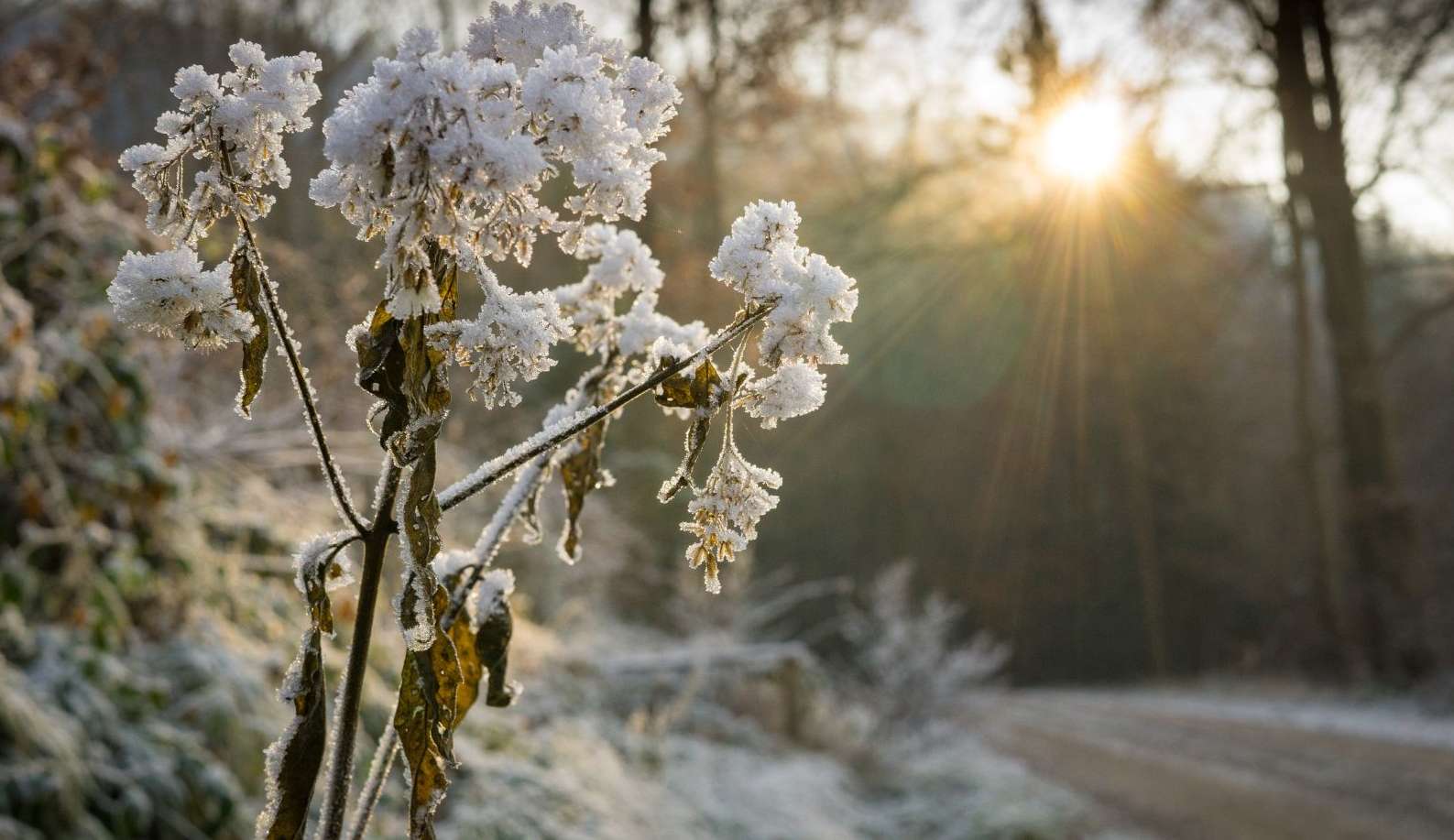 Massa de ar gelada se avança sobre o Brasil e aumenta chance de neve ao Sul