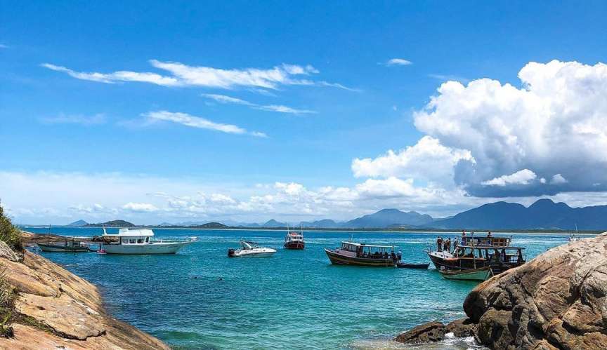 Gripe aviária obriga governo do Espírito Santo proibir visita a 13 ilhas do estado