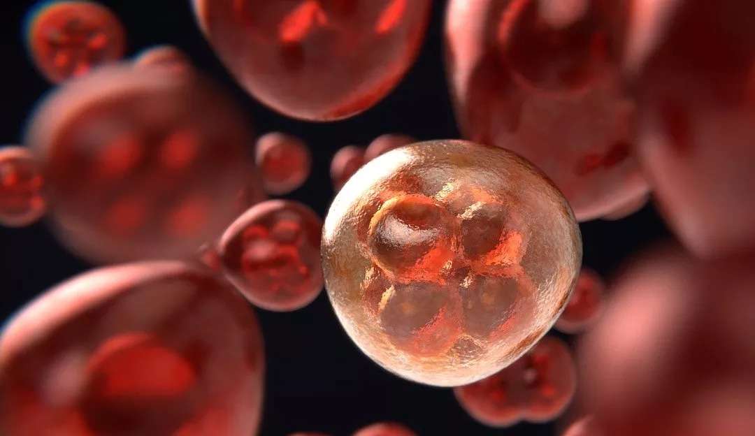 No maior congresso de oncologia do mundo foi apresentado 4 boas notícias no tratamento do câncer