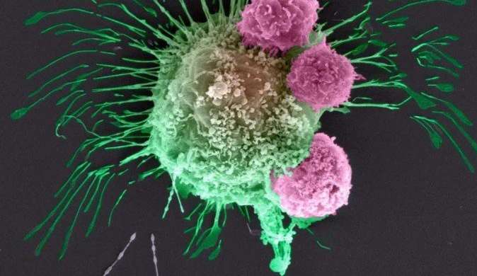 Congresso de oncologia apresenta novas estratégias de combate ao câncer