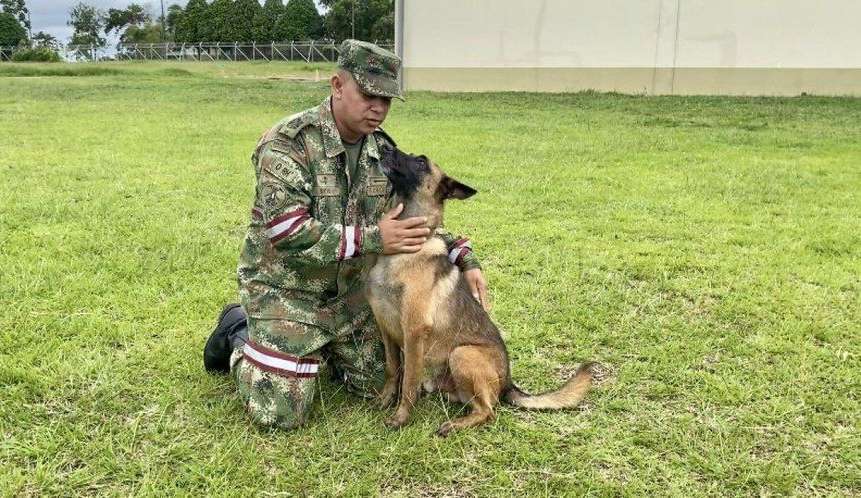 Pastor belga Wilson desaparece e gera comoção nas redes sociais