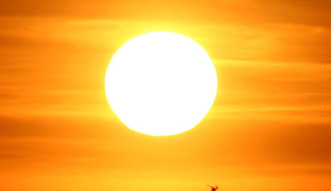 Primeira missão que visa “chegar” ao sol descobre vento solar