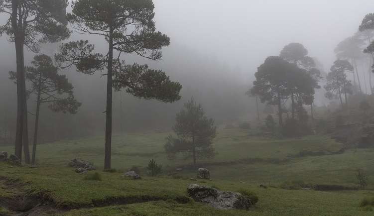 Ciclone Extratropical se aproxima do Sul do Brasil e estados entram em alerta