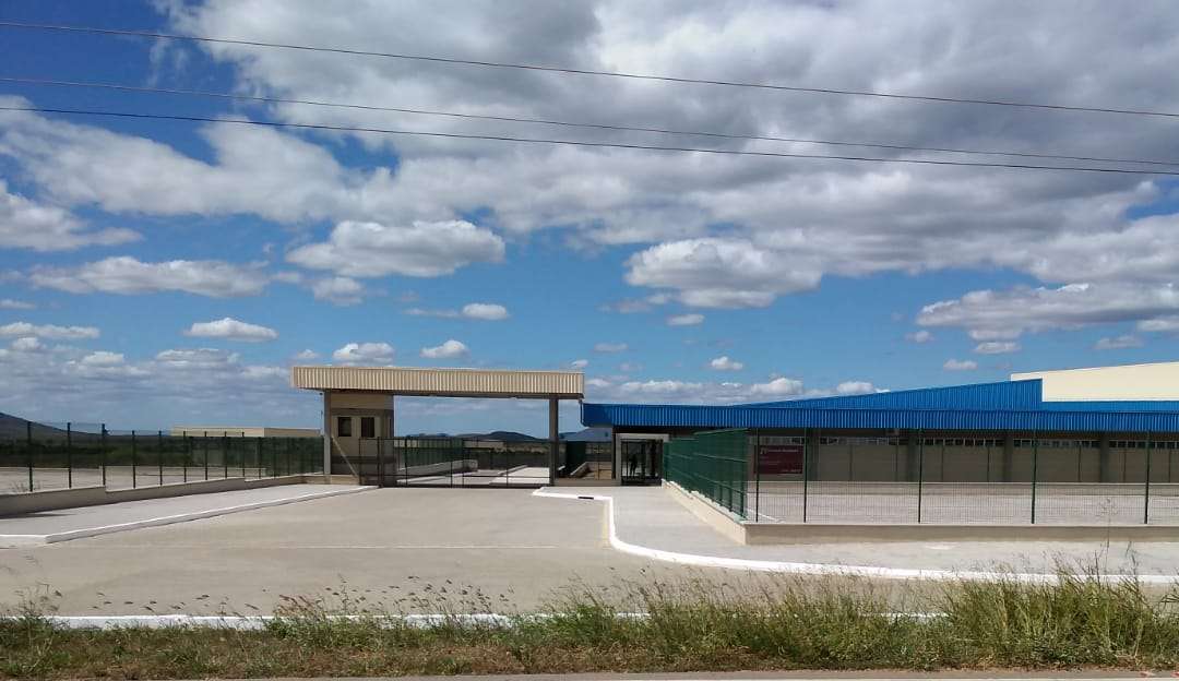 Necessidades de emprego geram fila quilométrica no Ceará